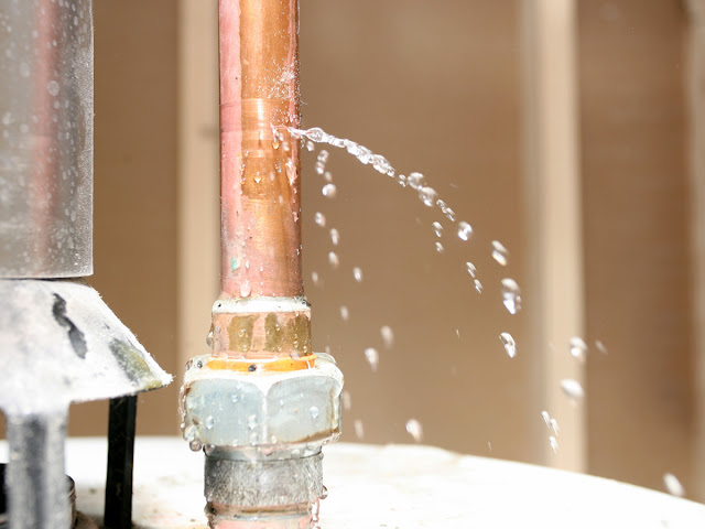 Principle Plumbing leak detection service
